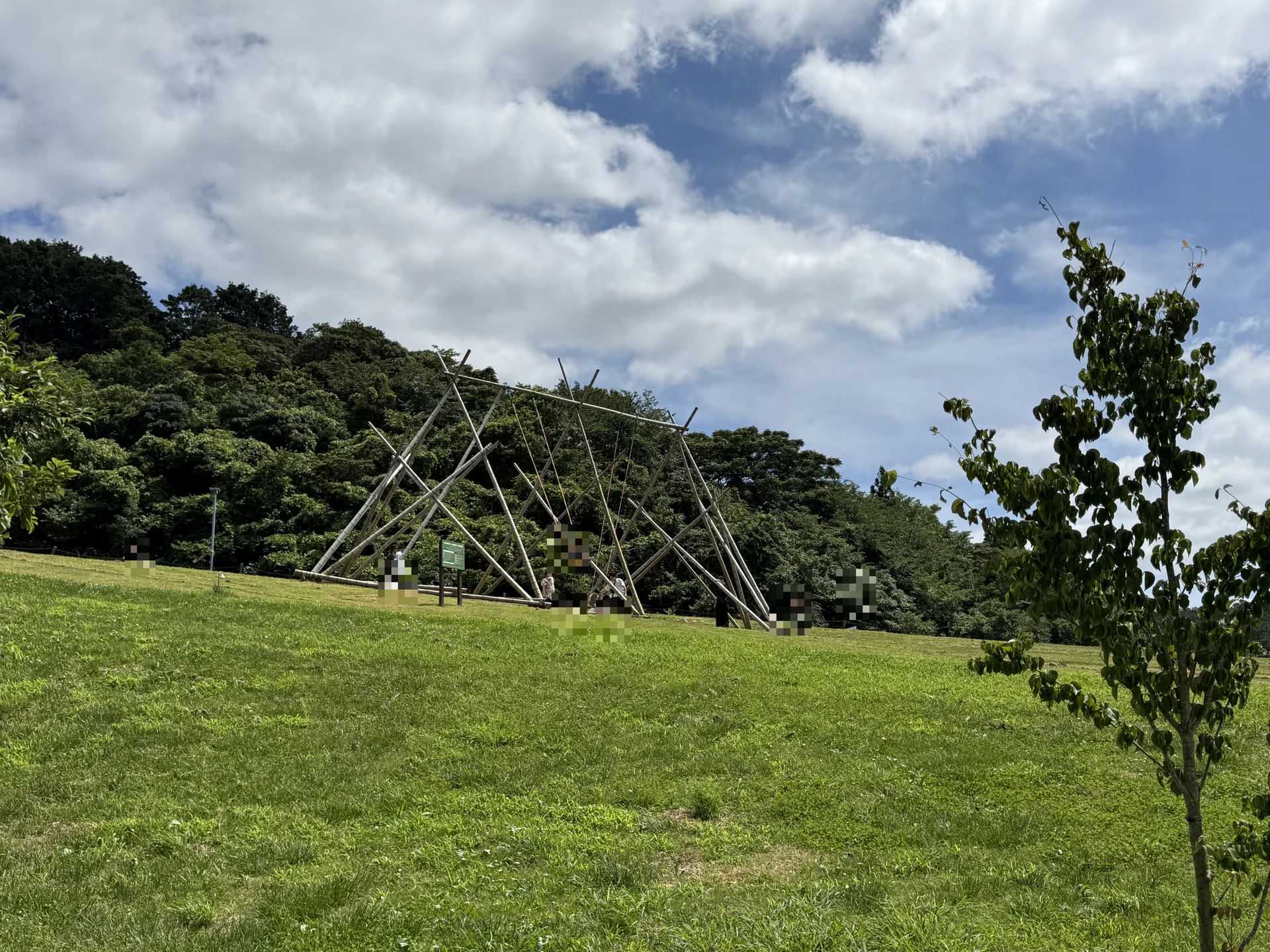 画像 芝生の斜面にある竹で組まれた大きなブランコ