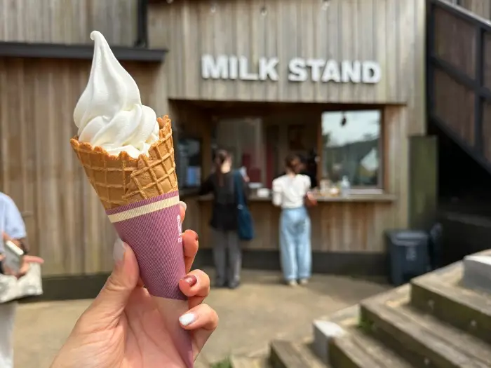 画像 MILK STANDのブラウンスイス牛のミルクを使ったソフトクリーム