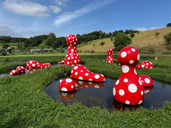 画像 草間彌生の赤い水玉作品「新たなる空間への道標」