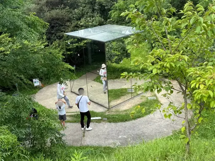 画像 木々の中に建つ草間彌生「無限の鏡の間―心の中の幻」の外観