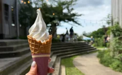 【木更津】クルックフィールズに行ってきた！パン屋ランカなど、食もアートも自然も楽しめた見どころを正直レビュー