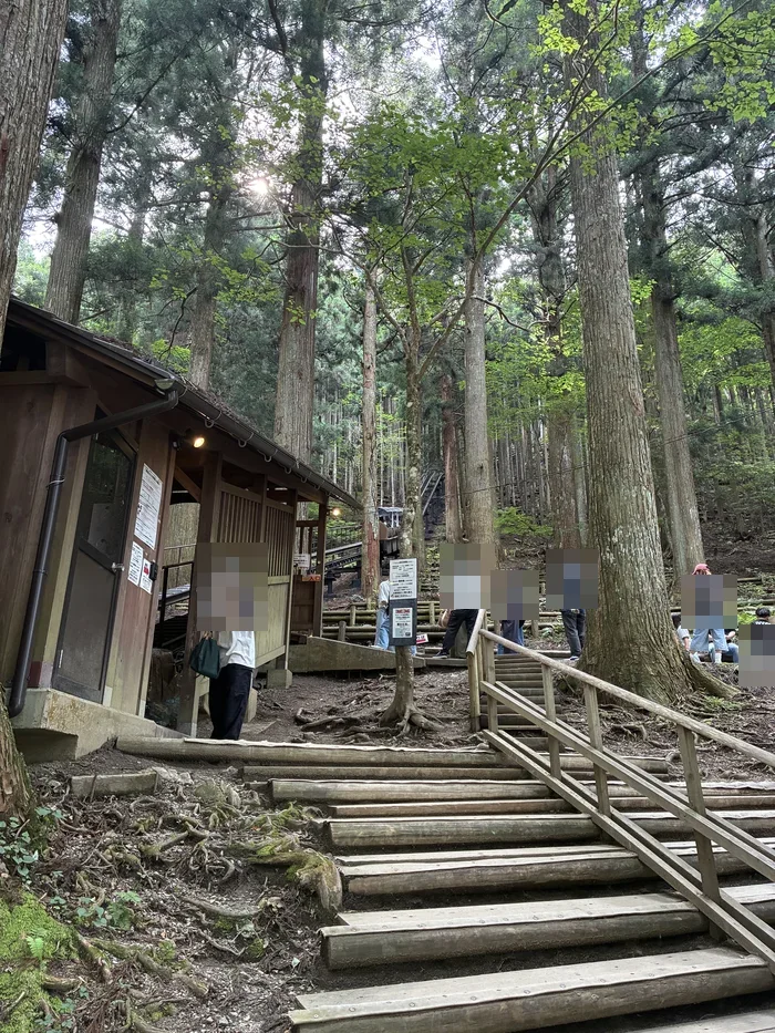 木立の中にある面不動モノレール乗り場への階段と乗車を待つ人々