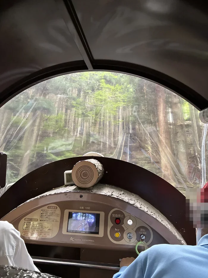 丸太を模した面不動モノレールどろっこの車内と前方の杉林
