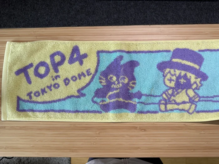 画像 TOP4 in TOKYO DOMEのマフラータオル