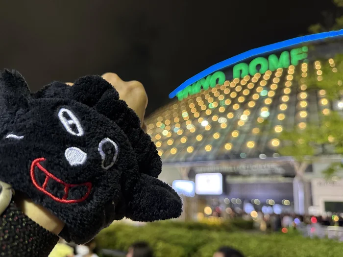 画像 キヨ猫ヘアバンドと夜の東京ドーム