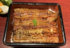 重箱に入ったうなぎのかば焼き（うな重）