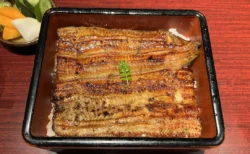 重箱に入ったうなぎのかば焼き（うな重）