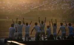 夕日を浴びるダグアウトで両手を上げて喜ぶ高校野球選手たちの後ろ姿