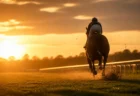 夕暮れの競馬場で芝コースを疾走する競走馬と騎手の後ろ姿