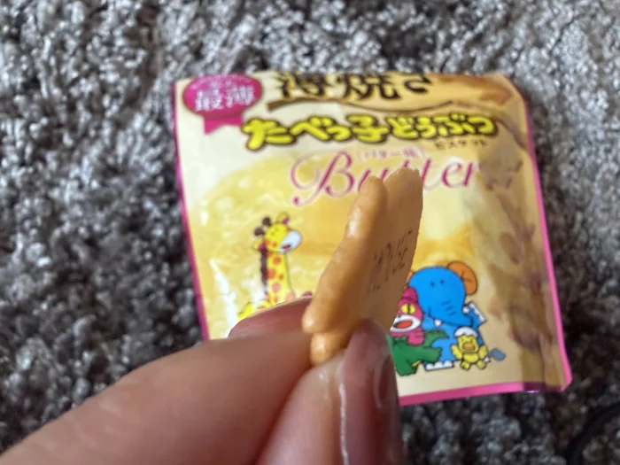 ビスケットを斜めから持って薄さを見たところ