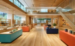 木目調の内装とカラフルな展示台が並ぶ、開放的な店内空間