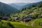 山あいの小さな集落を見下ろす棚田状の田園風景、柔らかい午後の光の写実的情景