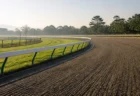 朝の光に照らされた無人のダート競馬コースのイメージ
