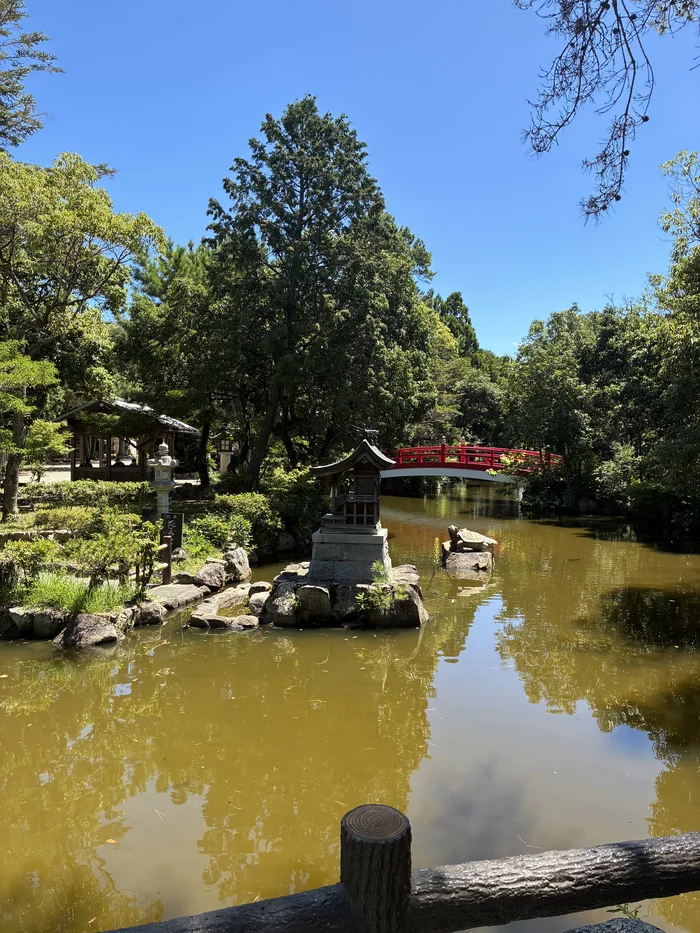 画像 放生の神池にかかる朱塗りの太鼓橋と、池の中の小さな社