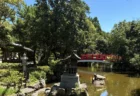 日本最古とされる神社『伊弉諾神宮』参拝レポ！立秋湯立神楽祭や樹齢900年の夫婦大楠が圧巻でした・・・