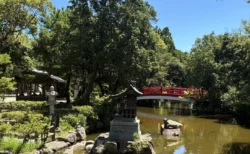 日本最古とされる神社『伊弉諾神宮』参拝レポ！立秋湯立神楽祭や樹齢900年の夫婦大楠が圧巻でした・・・