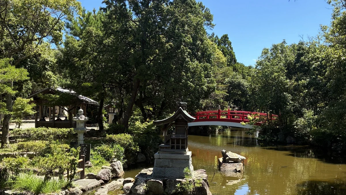 日本最古とされる神社『伊弉諾神宮』参拝レポ!立秋湯立神楽祭や樹齢900年の夫婦大楠が圧巻でした・・・