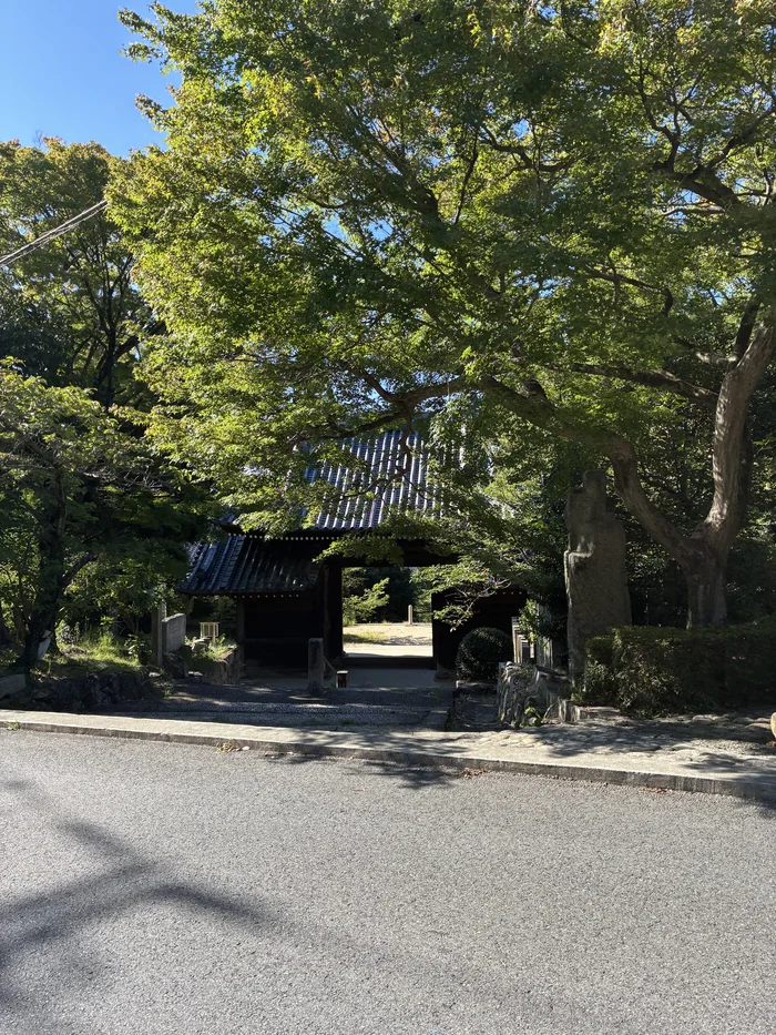 木々に囲まれた神呪寺の門