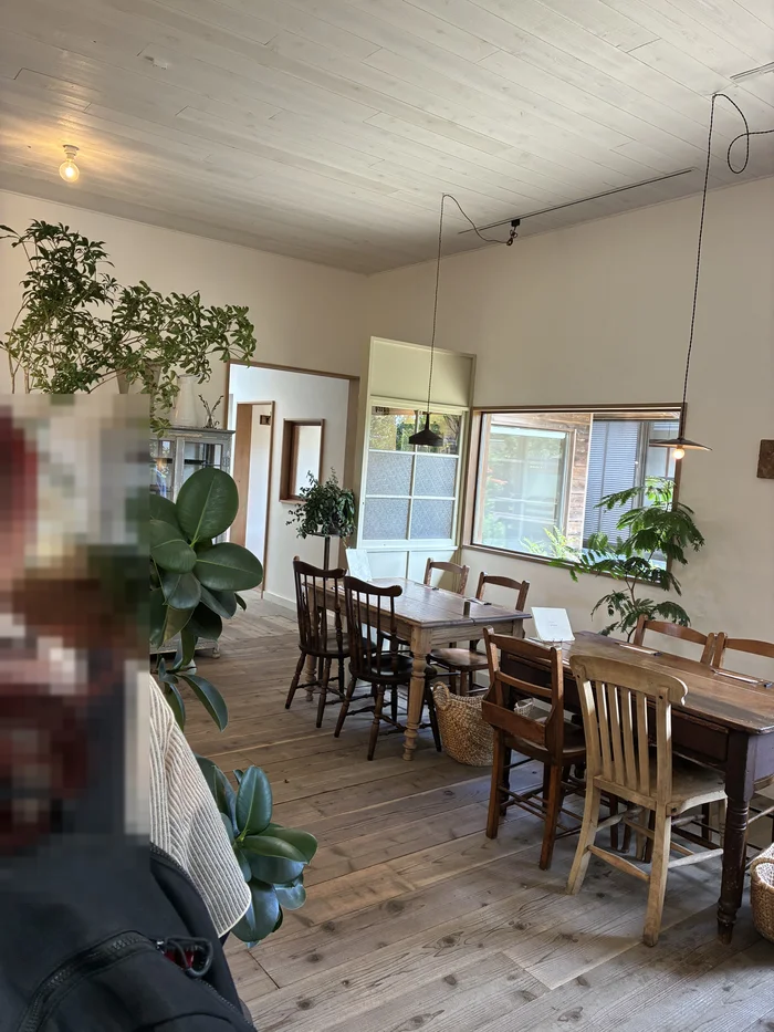 画像 こぞら荘 喫茶食堂の店内。木のテーブルと椅子が並び、観葉植物が置かれた明るい空間