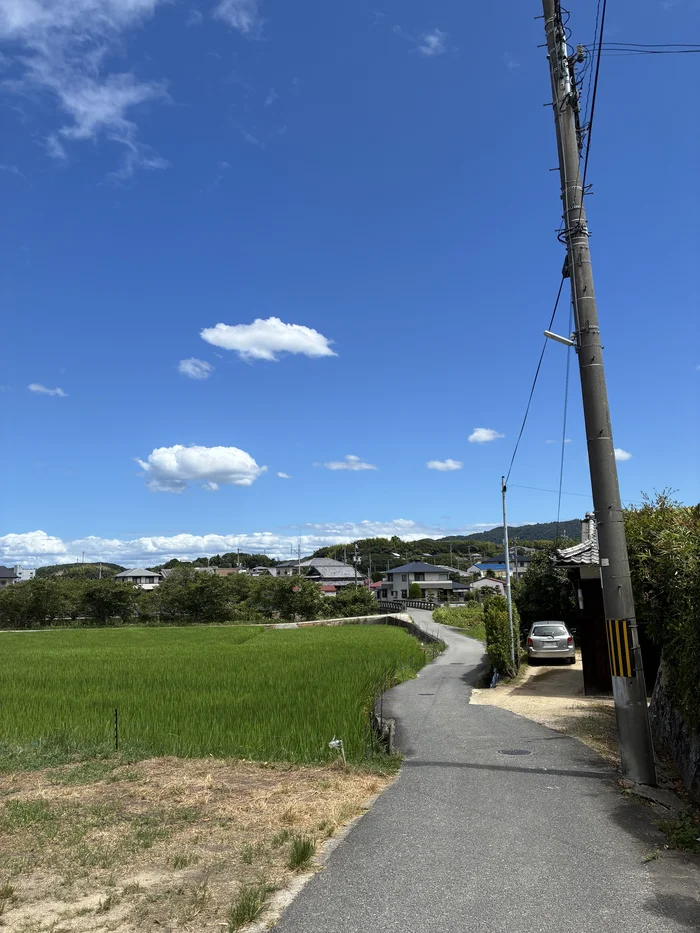 画像 田んぼ沿いに続く、のんきなリスまでの細い道