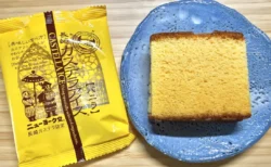 ザラメのジャリジャリがたまらない！ニューヨーク堂「長崎カステラアイス」をレビュー　バニラはアイスというよりスイーツな満足感でした