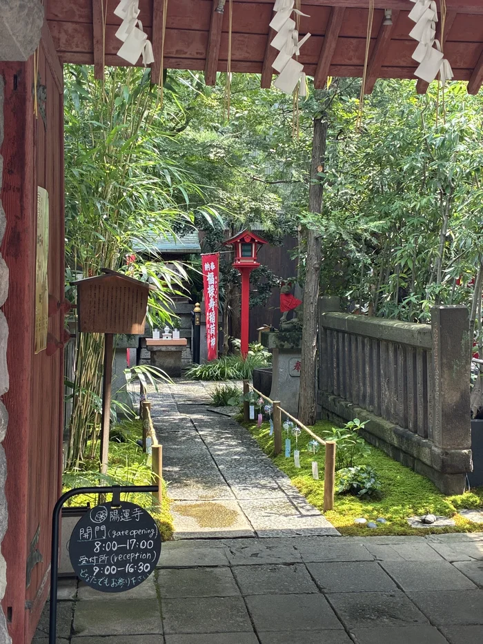 画像 陽運寺の山門から見た参道と福禄寿稲荷神の幟