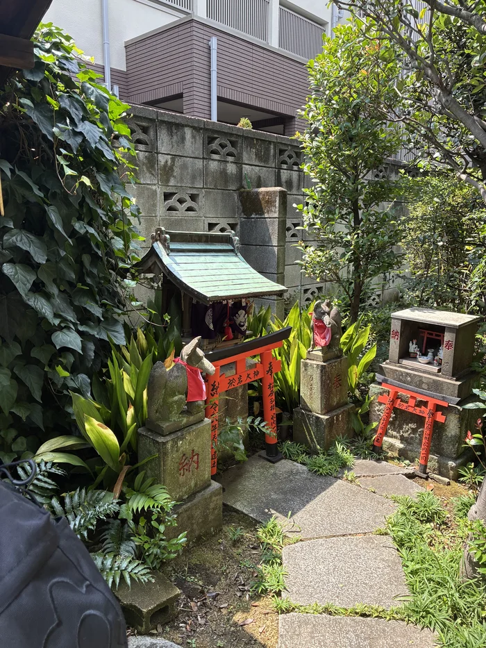 画像 陽運寺の境内に並ぶ赤い鳥居と石のお社