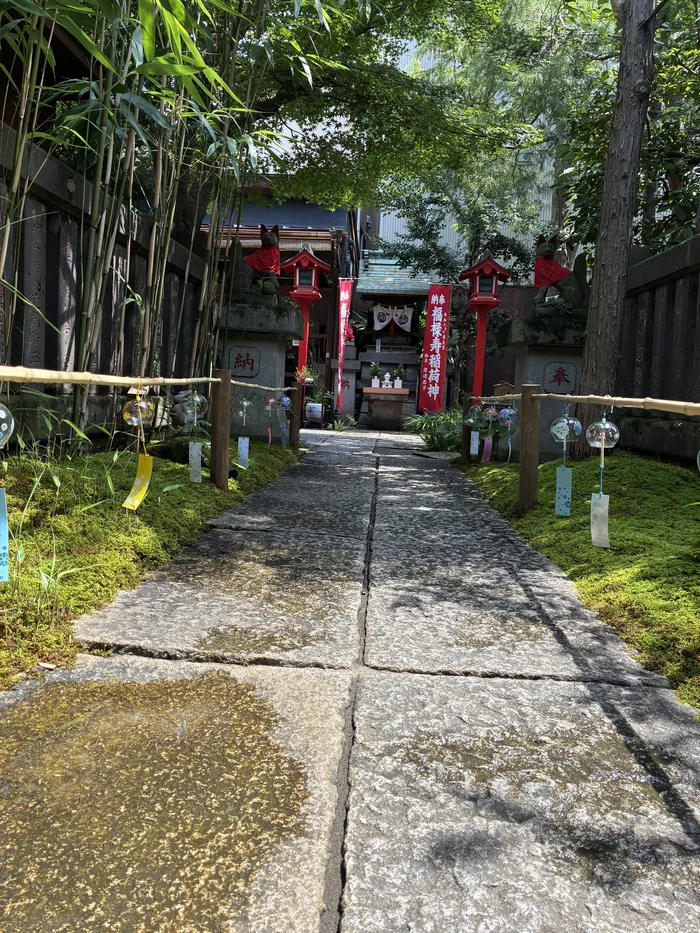 画像 苔の上に下がるガラスの風鈴と参道
