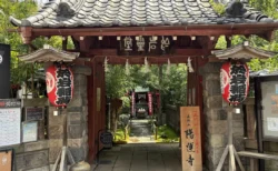 【東京・四谷】お岩さんゆかりの於岩稲荷は2つある？田宮神社と陽運寺を両方参拝　縁結びの井戸と月替わり御朱印を散策レポ