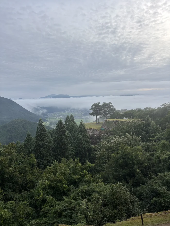 画像 離れた場所から見た竹田城跡と、奥に広がる雲海