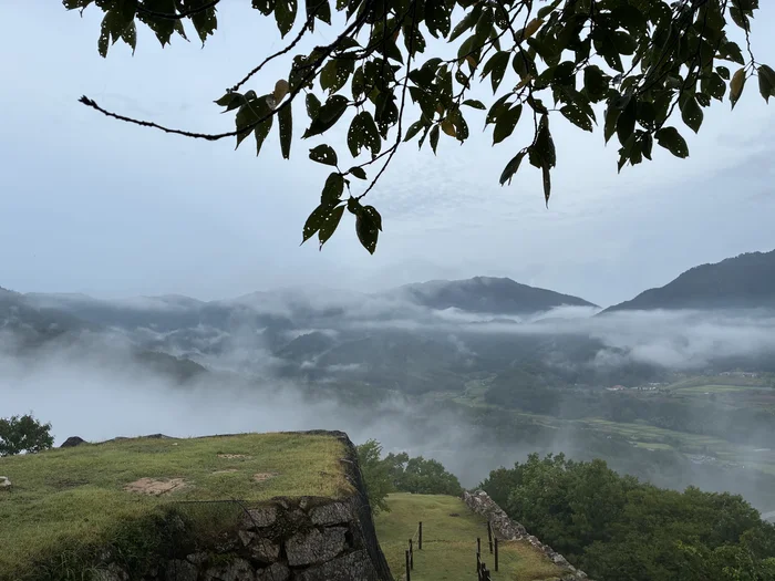 画像 木々の枝越しに見た雲海と山の稜線