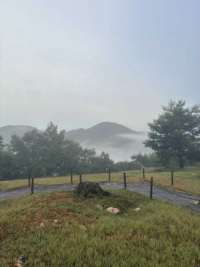 画像 切り株のある広場の向こうに見える山並みと雲