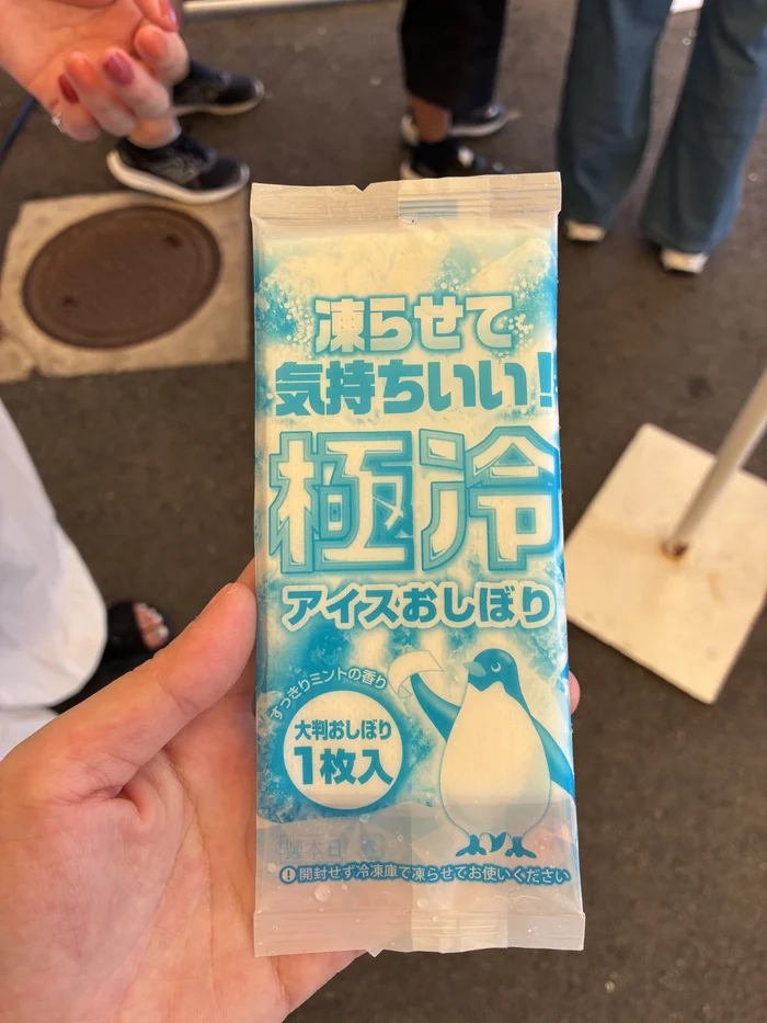 画像 乗船時に配られた「極冷 アイスおしぼり」