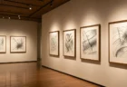 額装されたインク線画が並ぶ美術館ギャラリーの展示壁