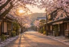 朝の日本の古い商店街と桜並木