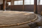 朝の光が差し込む相撲部屋の稽古場の土俵
