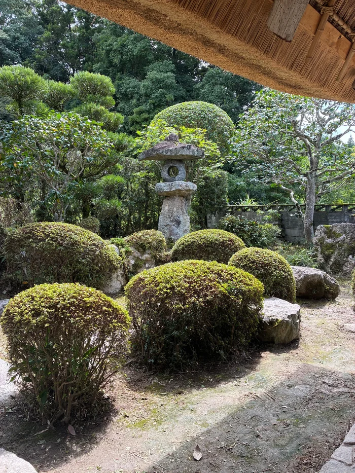 画像 はなとねの縁側から見た石灯籠と刈り込みのある庭