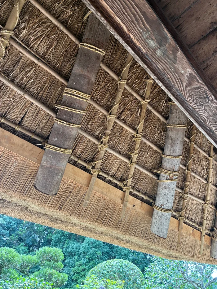 画像 はなとねの縁側から見上げた茅葺き屋根の軒裏