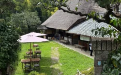 神戸・淡河の古民家カフェ『はなとね』のBLTベーグルサンドを縁側で満喫！犬連れOKの席、駐車場まで写真多めで地元民がおすすめレビュー