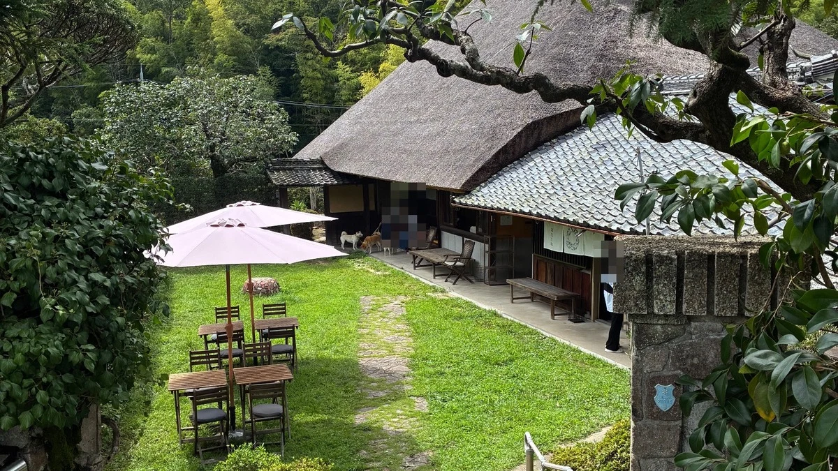神戸・淡河の古民家カフェ『はなとね』のBLTベーグルサンドを縁側で満喫!犬連れOKの席、駐車場まで写真多めで地元民がおすすめレビュー