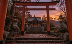 夕暮れの神社の境内。朱色の鳥居越しに見える木造の社殿と石灯籠、落ち葉の積もった石段