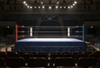 スポットライトに照らされたプロレスのリング