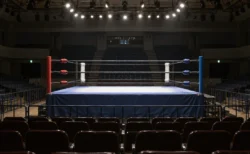 スポットライトに照らされたプロレスのリング