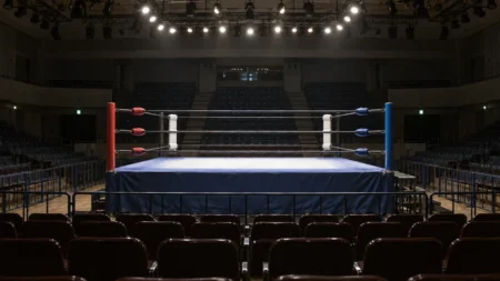 スポットライトに照らされたプロレスのリング