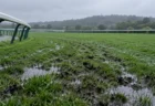 雨上がりの競馬場の芝コース。水を含んで光る芝と蹄跡、奥へカーブする白い内ラチと曇り空