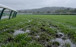 雨上がりの競馬場の芝コース。水を含んで光る芝と蹄跡、奥へカーブする白い内ラチと曇り空
