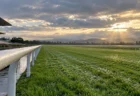 雨上がりの夕方の競馬場、濡れた芝コースと白い内ラチ
