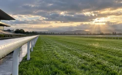 雨上がりの夕方の競馬場、濡れた芝コースと白い内ラチ