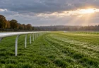 雨上がりの競馬場の芝コースとゴール板付近