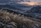 夕暮れの山あいに揺れるススキ原と霞む山城の石垣